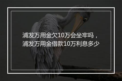 浦发万用金欠10万会坐牢吗，浦发万用金借款10万利息多少
