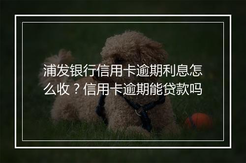 浦发银行信用卡逾期利息怎么收？信用卡逾期能贷款吗