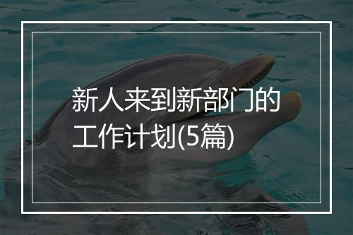 新人来到新部门的工作计划(5篇)