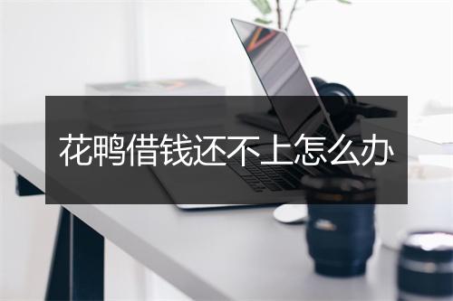 花鸭借钱还不上怎么办