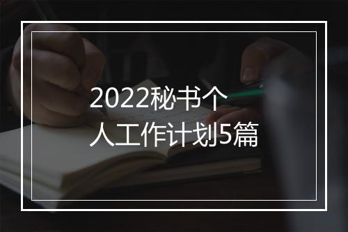 2022秘书个人工作计划5篇