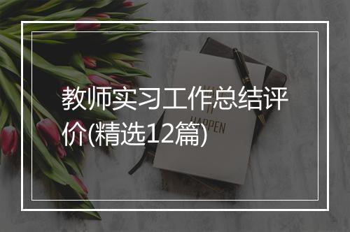 教师实习工作总结评价(精选12篇)