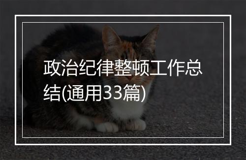 政治纪律整顿工作总结(通用33篇)