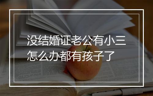 没结婚证老公有小三怎么办都有孩子了