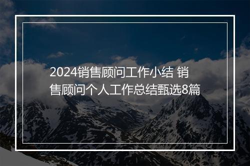 2024销售顾问工作小结 销售顾问个人工作总结甄选8篇
