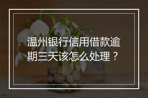温州银行信用借款逾期三天该怎么处理？