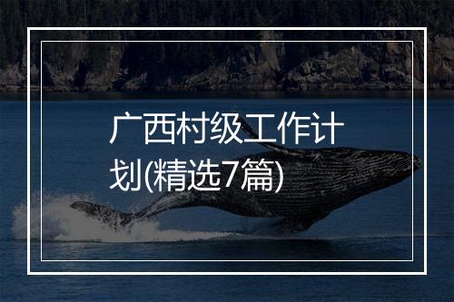广西村级工作计划(精选7篇)