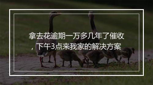 拿去花逾期一万多几年了催收，下午3点来我家的解决方案