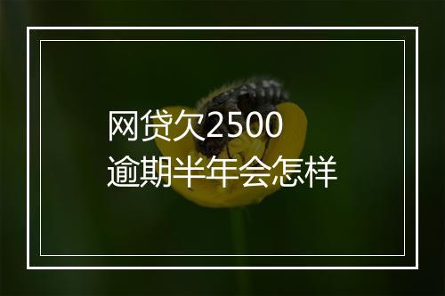 网贷欠2500逾期半年会怎样