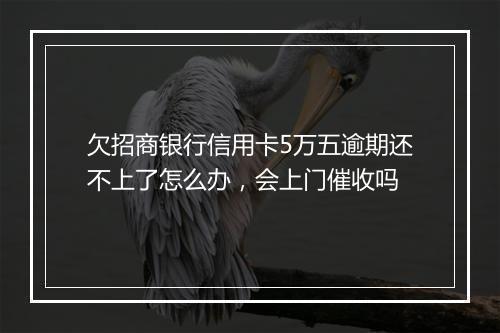 欠招商银行信用卡5万五逾期还不上了怎么办，会上门催收吗