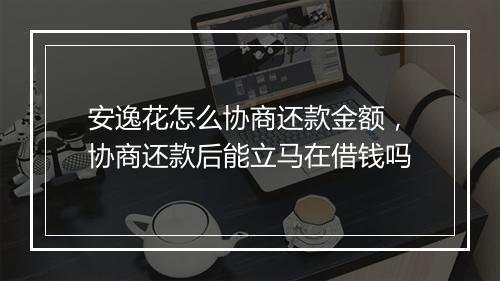 安逸花怎么协商还款金额，协商还款后能立马在借钱吗