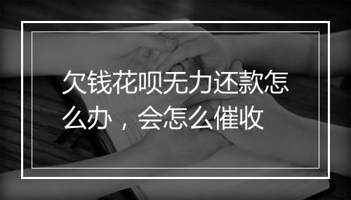 欠钱花呗无力还款怎么办，会怎么催收