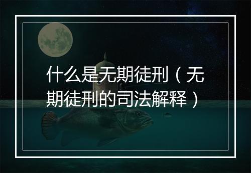 什么是无期徒刑（无期徒刑的司法解释）