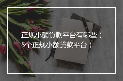 正规小额贷款平台有哪些（5个正规小额贷款平台）