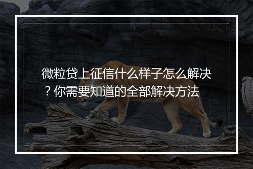 微粒贷上征信什么样子怎么解决？你需要知道的全部解决方法