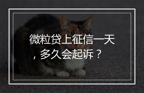 微粒贷上征信一天，多久会起诉？