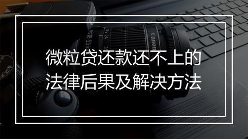 微粒贷还款还不上的法律后果及解决方法