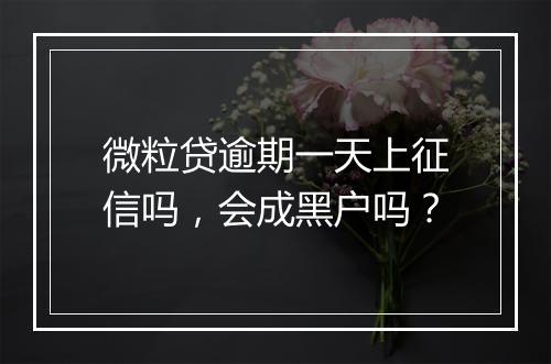 微粒贷逾期一天上征信吗，会成黑户吗？