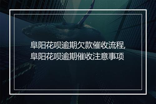 阜阳花呗逾期欠款催收流程,阜阳花呗逾期催收注意事项