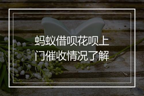 蚂蚁借呗花呗上门催收情况了解