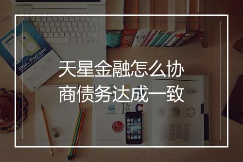 天星金融怎么协商债务达成一致