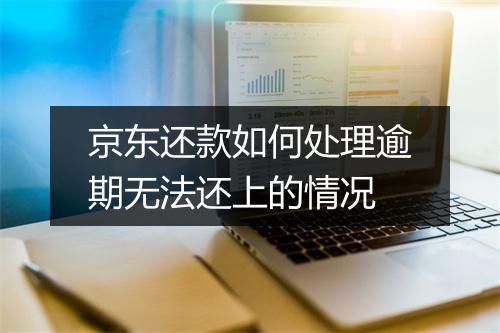 京东还款如何处理逾期无法还上的情况