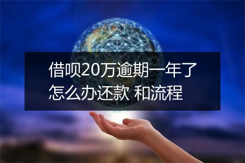 借呗20万逾期一年了怎么办还款 和流程