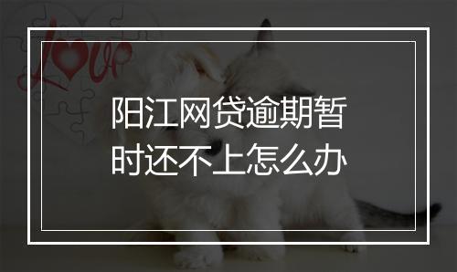 阳江网贷逾期暂时还不上怎么办