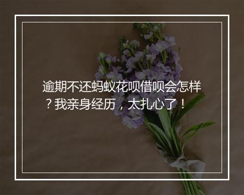 逾期不还蚂蚁花呗借呗会怎样？我亲身经历，太扎心了！