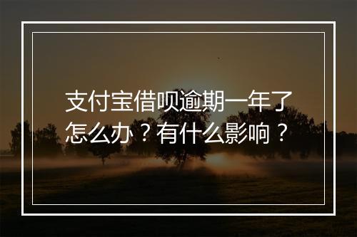 支付宝借呗逾期一年了怎么办？有什么影响？