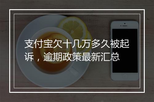 支付宝欠十几万多久被起诉，逾期政策最新汇总