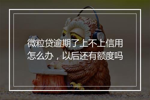 微粒贷逾期了上不上信用怎么办，以后还有额度吗