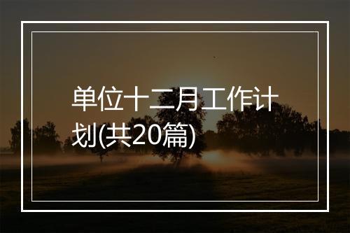 单位十二月工作计划(共20篇)