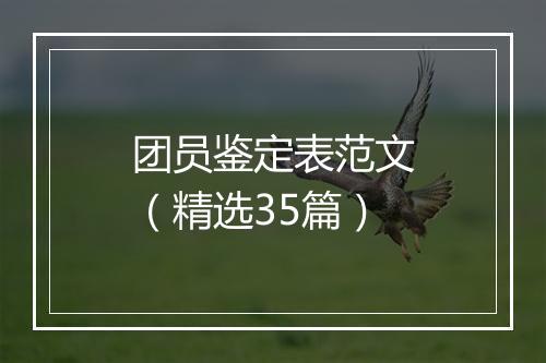 团员鉴定表范文（精选35篇）
