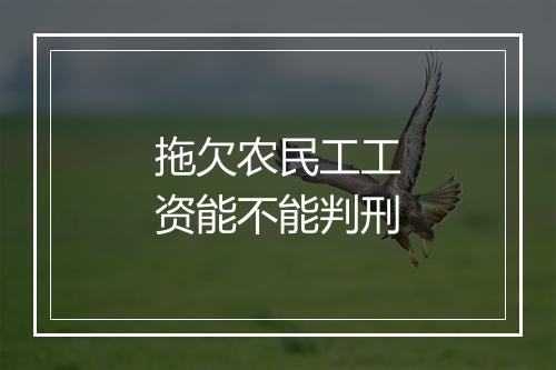 拖欠农民工工资能不能判刑
