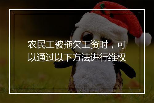 农民工被拖欠工资时，可以通过以下方法进行维权