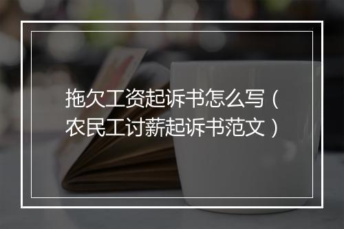 拖欠工资起诉书怎么写（农民工讨薪起诉书范文）