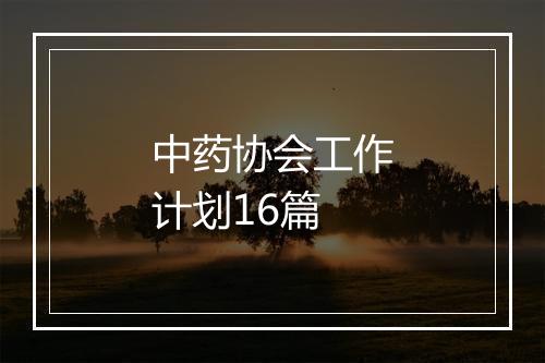 中药协会工作计划16篇