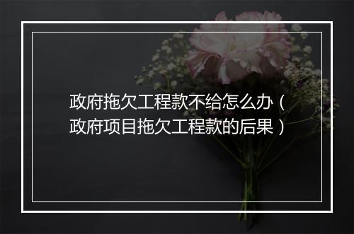 政府拖欠工程款不给怎么办（政府项目拖欠工程款的后果）