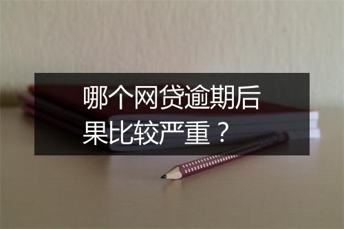 哪个网贷逾期后果比较严重？