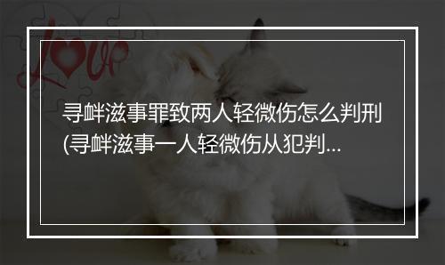寻衅滋事罪致两人轻微伤怎么判刑(寻衅滋事一人轻微伤从犯判多久)
