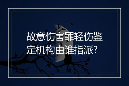 故意伤害罪轻伤鉴定机构由谁指派?