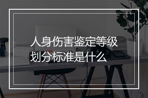人身伤害鉴定等级划分标准是什么