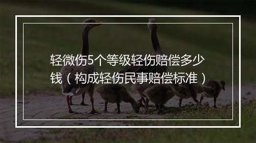 轻微伤5个等级轻伤赔偿多少钱（构成轻伤民事赔偿标准）
