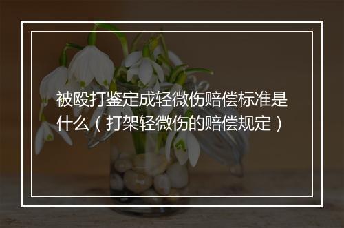 被殴打鉴定成轻微伤赔偿标准是什么（打架轻微伤的赔偿规定）