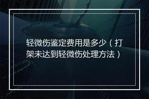 轻微伤鉴定费用是多少（打架未达到轻微伤处理方法）
