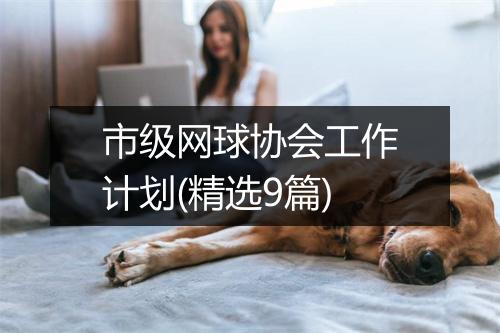 市级网球协会工作计划(精选9篇)