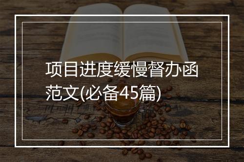 项目进度缓慢督办函范文(必备45篇)