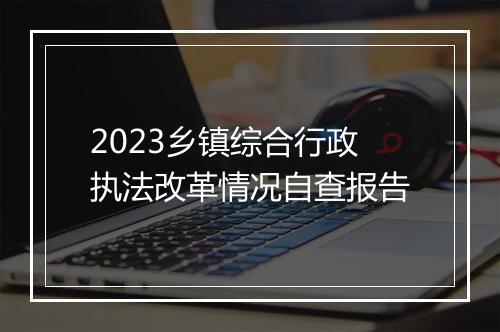 2023乡镇综合行政执法改革情况自查报告