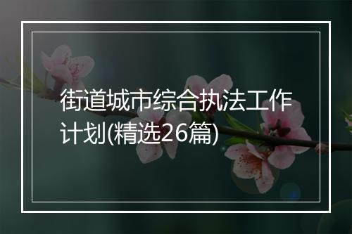 街道城市综合执法工作计划(精选26篇)